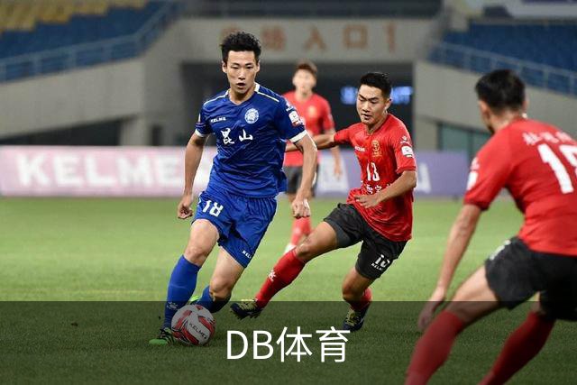DB体育公司简介图片